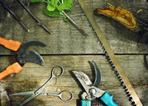 Pruning Tools