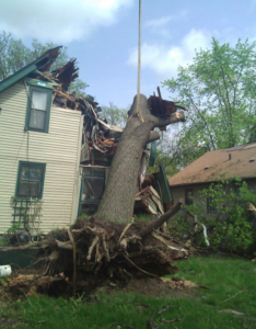 Storm Damaged Trees raising tree that fell on house - Minnesota Tree Experts