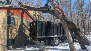 storm damaged tree removal